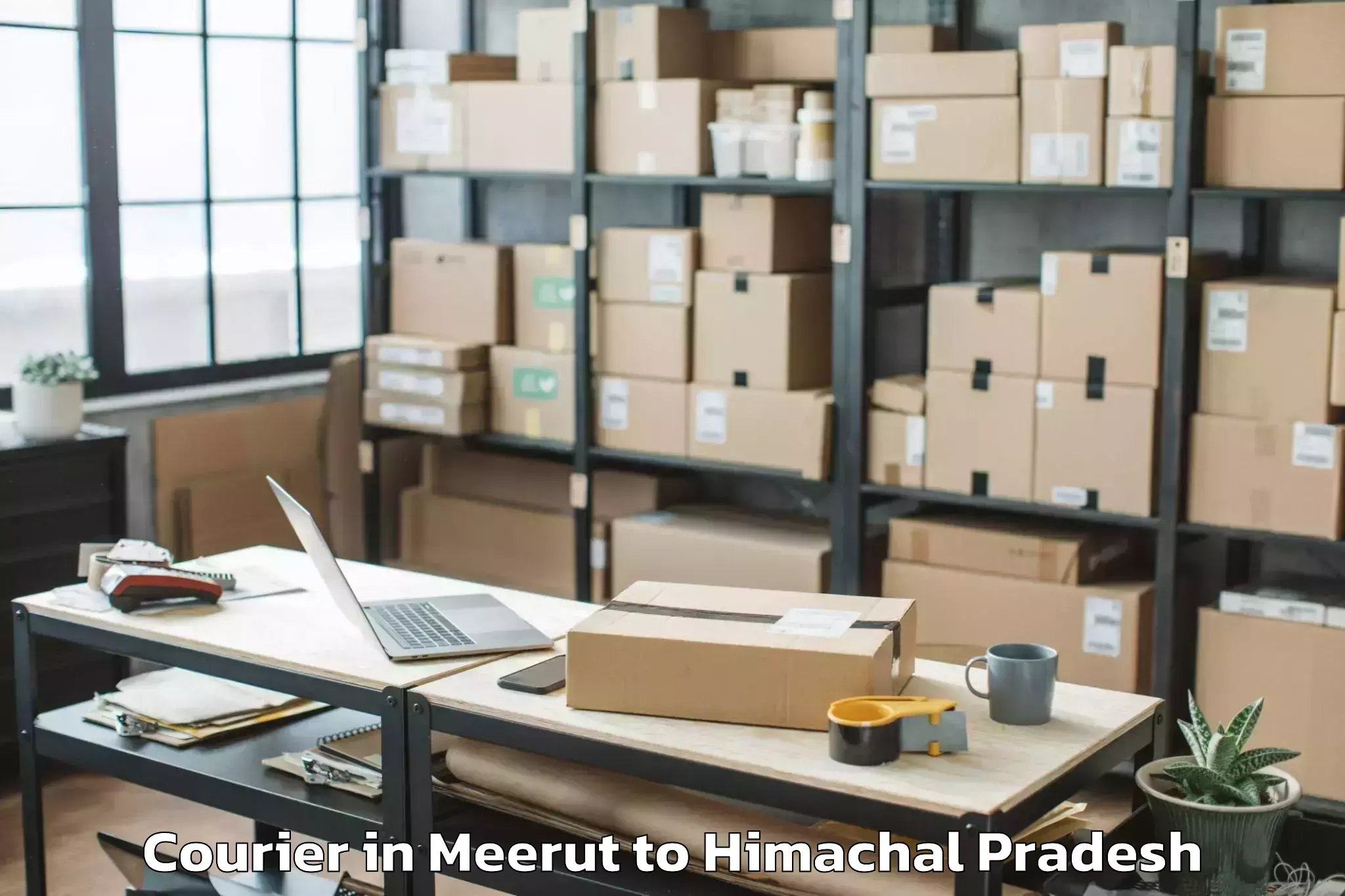 Book Meerut to Abhilashi University Baddi Courier